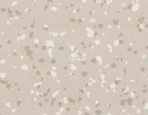 Линолеум Taralay Premium Brazilia 4342 Juara фото 1 | FLOORDEALER